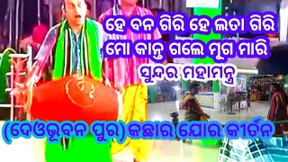 Deobhubanpur /Kacharjor kirtan/ ହେ ବନ ଗିରି ହେ ଲତା ଗିରି  ମୋ କାନ୍ତ ଗଲେ ମୂର୍ଗ ମାରି ! mahamantra...