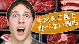 僕が牛肉を食べない７つの理由