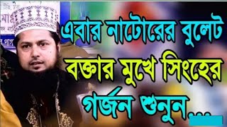 Banglawaz2021||নাটোরের বুলেট বক্তার সিংহের গর্জন শুনুন||মাওলানা মিজানুর রহমান নাটোরী