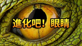 進化論解釋不了的問題：為什么生物會進化出眼睛？