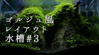 風山石のゴルジュ風レイアウト水槽#3：水草を成長させて完成 + 新チャンネルのお知らせ