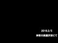 オマケの黄1灯 【交通信号機】