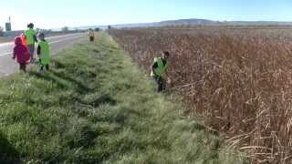 Litter Pickup Fall 2013 - Pack 22 Bayard