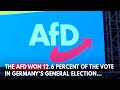 anti afd protesters clash with police