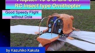 フラップター：Flaptter19-8  Good Speedy Flight  without Young Dola