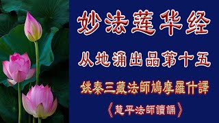 妙法莲华经《从地涌出品第十五》/妙法华经/法华经。慧平法师读诵。高清。