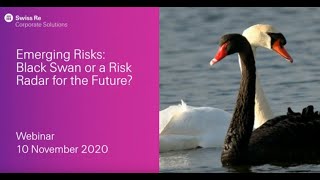 Emerging Risks: Black Swan or a Risk Radar for the Future?