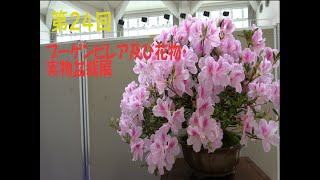 第24回ブーゲンビレア及び花物・実物盆栽展 BONSAI WROLD[163]