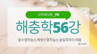 해충학 56 (솔수염하늘소,북방수염하늘소,솔잎혹파리 예찰 문제) [필기+실기]