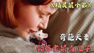 奇葩夫妻领养老鼠当儿子，居然和猫咪成为好朋友，奇幻喜剧