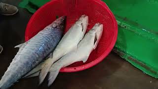 海魚現補現賣 Best catching, netting fresh fishes, 明發定置漁場, #freshseafood 3