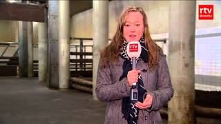Olifanten Dierenpark Emmen met vertraging op weg naar Brabant