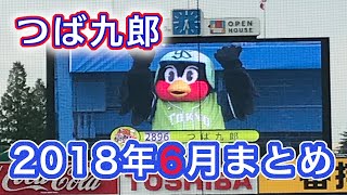 つば九郎2018年6月まとめ