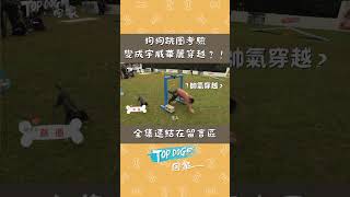 🐶狗狗跳圈考驗 卻變成胡宇威華麗穿越！？ ｜TOP DOG