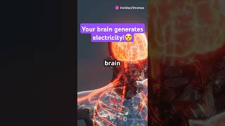 🤯Your BRAIN Generates ELECTRICITY!🧠 #neuroscience    #shorts     #funfacts   #youtube