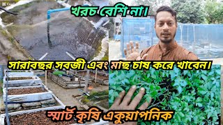 মাটি ছাড়া সবজী এবং মাছ চাষ। aquaponics system in bangladesh.