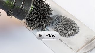 Basic Magnetic Latent Fingerprint Kit