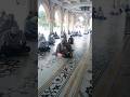 kawwali in Dargah #short #youtubeshort #ajmersharif #shortsvideo #qawwali #vlog