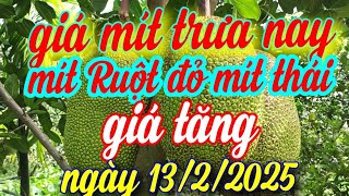 giá mít trưa nay ngày 13/2/2025