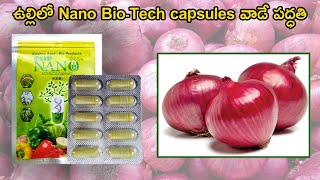 ఉల్లిలో Biocapsules వాడే పద్ధతి | Onion