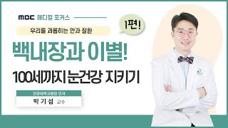 건강한 눈관리 / 백내장 / 100세까지 눈건강 지키는 방법 / 눈에 좋은 음식부터 생활습관까지 / 눈마사지기, 눈에 효과 있을까? /