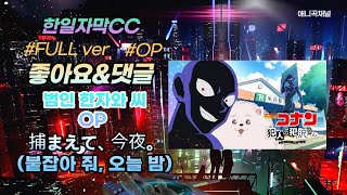 [한일자막]명탐정 코난: 범인 한자와 씨捕まえて、今夜。(붙잡아 줘, 오늘 밤)(audio spectrum) FULL ver