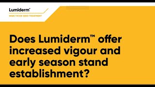 Does Lumiderm offer increased vigour and early season stand establishment?
