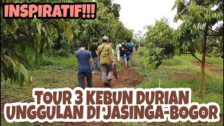 INSPIRATIF!! TOUR 3 KEBUN DURIAN UNGGULAN DI JASINGA // TOUR 3 EXCELLENT DURIAN GARDENS IN JASINGA