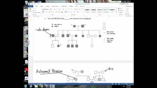 Unit 7 Lecture 7 Pedigrees