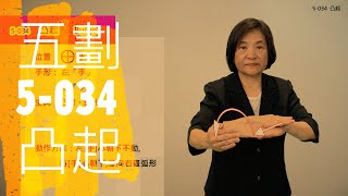 臺灣手語語料彙整【凸起】5 034