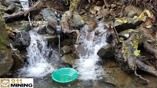 Gold Detecting, Gold Panning \u0026 Gold Pickers!