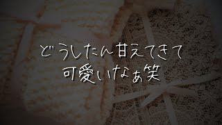 【女性向け】甘え下手な彼女に一緒に寝たいって言われて可愛くてニヤニヤする年上犬系彼氏【シチュエーションボイス/甘々/溺愛/添い寝】