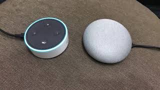 Amazon EchoとGoogle Homeのピカチュウトーク