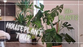 House Plant Tour // 50+ Plants!!!