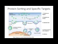 homeostasis proteins