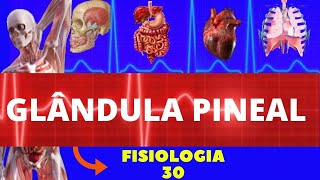 GLÂNDULA PINEAL (AÇÕES DA MELATONINA) - FISIOLOGIA HUMANA - FISIOLOGIA ENDÓCRINA - GUYTON