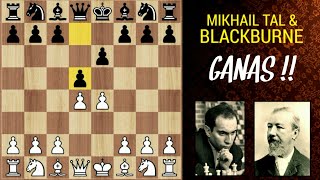 GANAS !!! Cara Mikhail Tal \u0026 Blackburne Hancurkan pembukaan catur hhtam