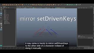 mirror setDrivenKeyframe