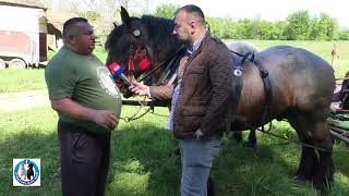 -Rogoljska fijakerijada I dio  kod Mlađena Gajića  -21.04.2018.