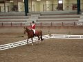 dressage galop 4