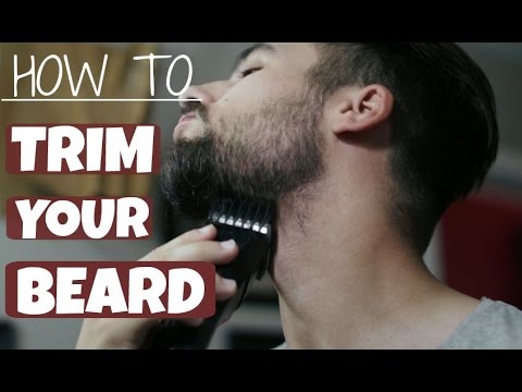 How To Trim and Shape Your Beard | TheGentlemansCove How To Trim and Shape Your Beard | TheGentlemansCove