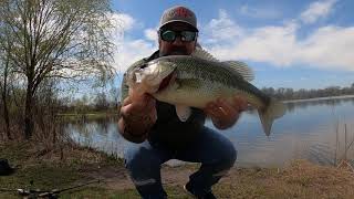 The Rockstar Fisherman HUGE BASS 2lbs 10oz Largemouth Bass on STRIKE KING KVD 2.5 Crankbait