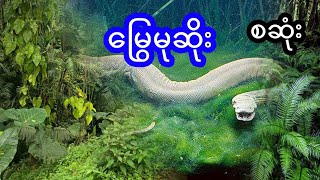 မြွေမုဆိုး - စဆုံး