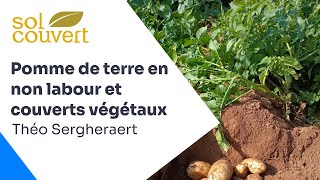 Pommes de terres en non labour et couverts végétaux, résultats d’essais pluriannuels, T. Sergheraert