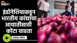 Onion Export : Exports slow down due to policy lapses | Agrowon