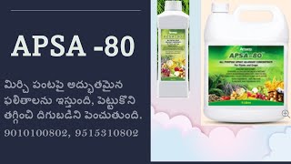 APSA-80 MIRCHI -9010100806 (అప్సా -80 మిర్చి పంటపై టెస్ట్ మోనియల్స్ మరియు ఉపయోగాలు) 9010100802.