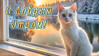 С Добрым Утром!