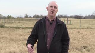 Jason Banta - Beef Cattle  Management - A Year on a Ranch - Breeding Season