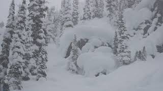 January POWDER day at Kicking Horse