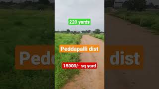 220 yards#plotforsale  #peddapalli collectarate opposite road #9533344166 #sold-out